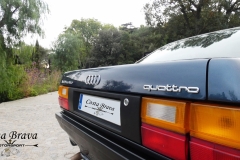 CAM_AUDI 100 C3 TURBO SPORT QUATTRO_image8502_jpg
